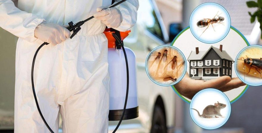 Gönen Böcek İlaçlama