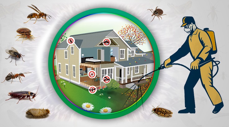 Gönen Böcek İlaçlama