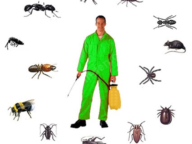 Gönen Böcek İlaçlama